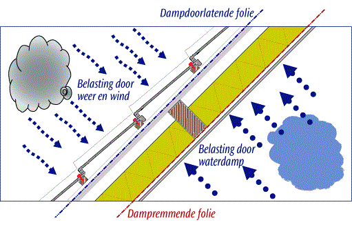 Dampfolie